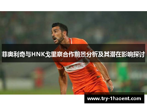 菲奥利奇与HNK戈里察合作前景分析及其潜在影响探讨 菲奥利奇与HNK戈里察合作前景分析及其潜在影响探讨