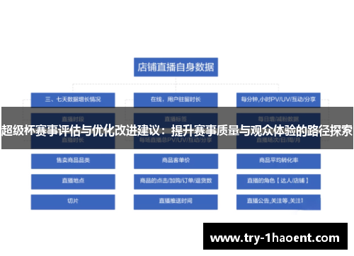 超级杯赛事评估与优化改进建议：提升赛事质量与观众体验的路径探索