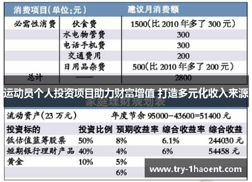 运动员个人投资项目助力财富增值 打造多元化收入来源