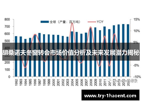 胡桑诺夫冬窗转会市场价值分析及未来发展潜力揭秘