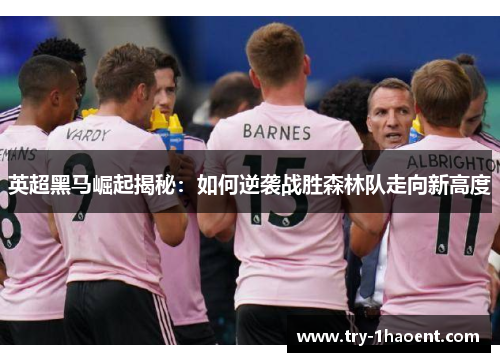 英超黑马崛起揭秘:如何逆袭战胜森林队走向新高度 英超黑马崛起揭秘:如何逆袭战胜森林队走向新高度